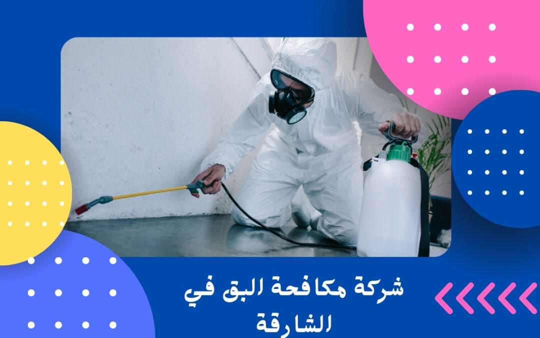 شركة مكافحة البق في الشارقة