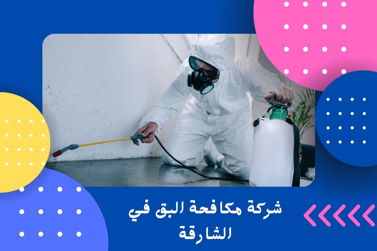 شركة مكافحة البق في الشارقة