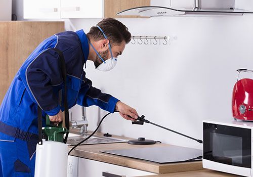 للوقاية من الصراصير