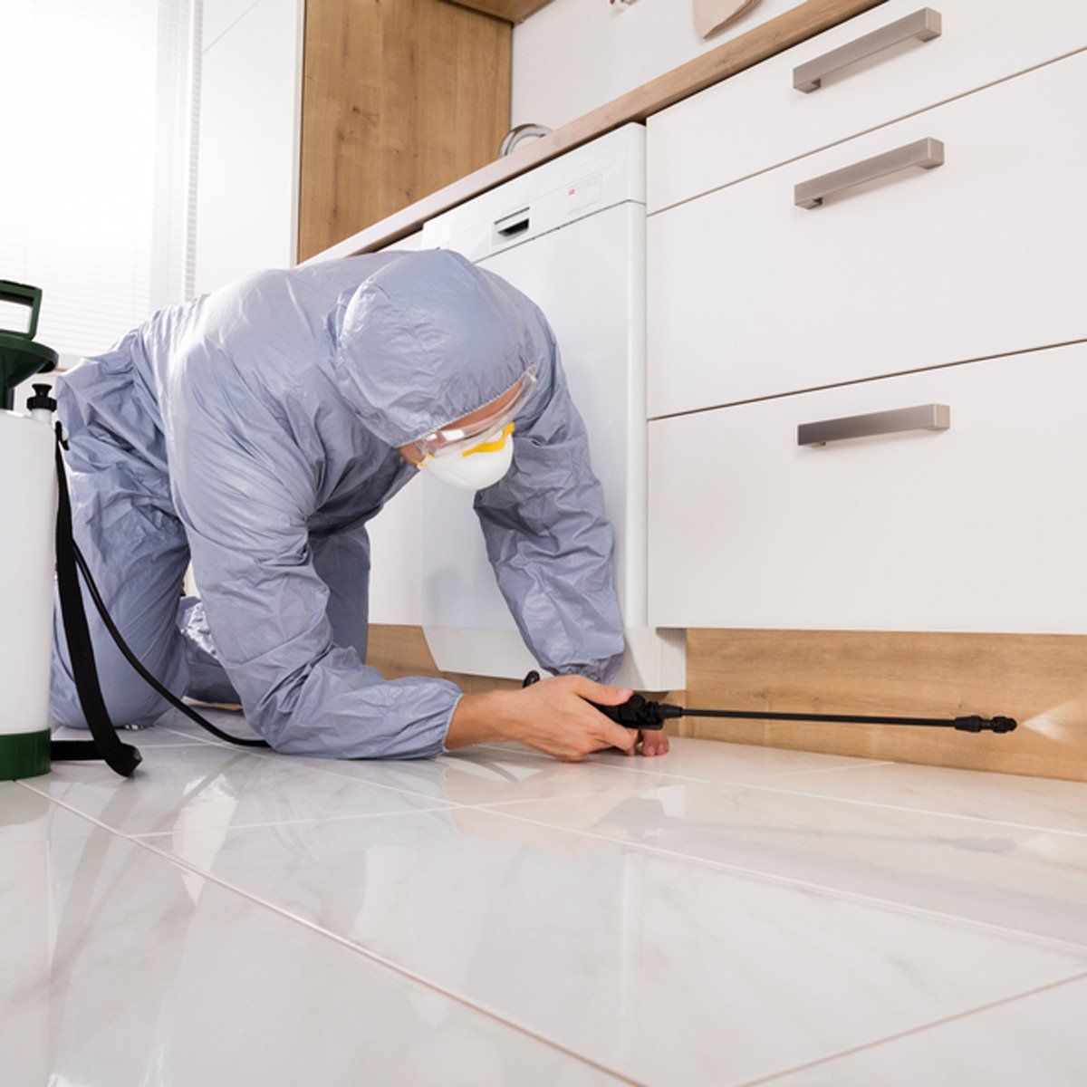 مصيدة فئران بالشارقة