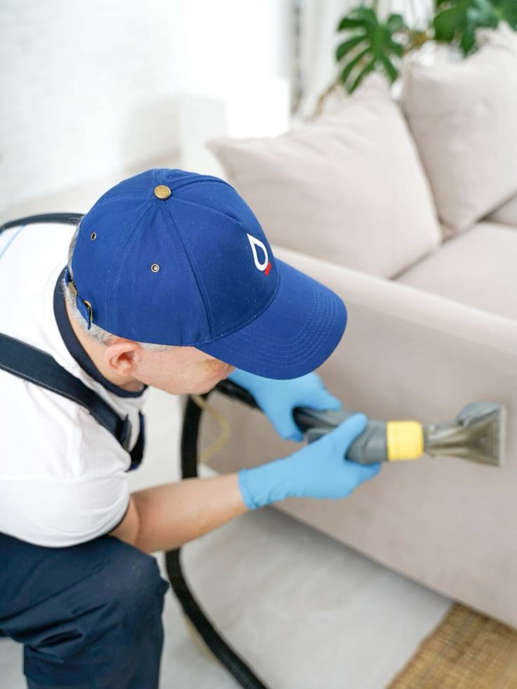 نظافة المجالس بعد التنظيف