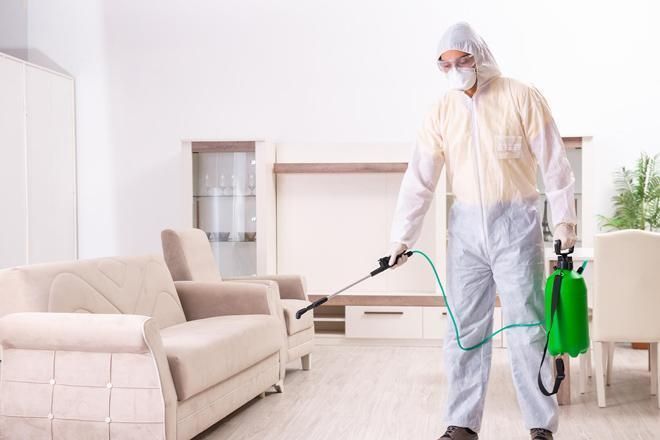 افضل شركة رش مبيدات دبي