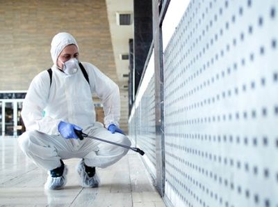 القضاء على الصراصير