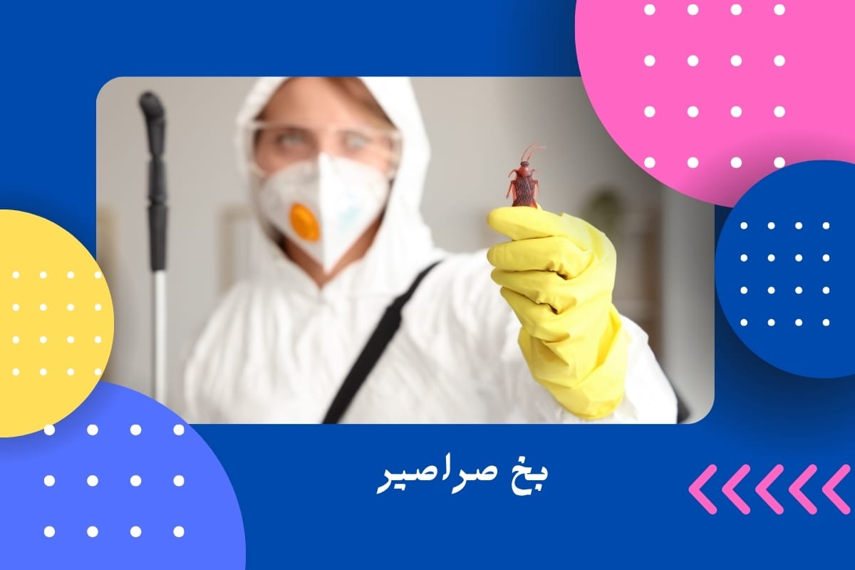 بخ صراصير