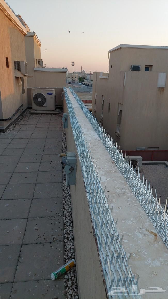 تركيب شبك مانع الحمام