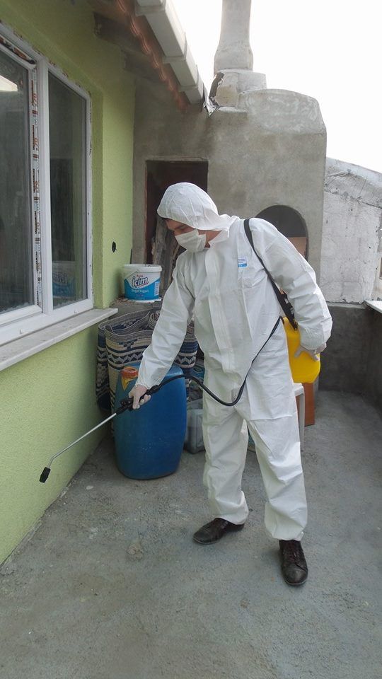 رش نمل ابيض