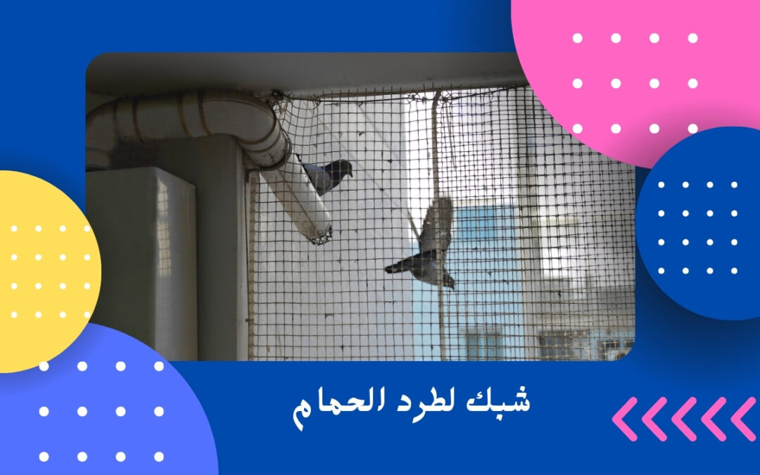 شبك لطرد الحمام