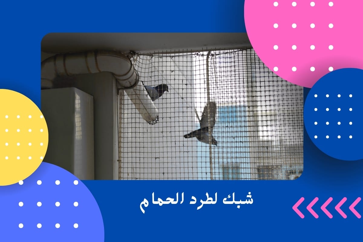 شبك لطرد الحمام