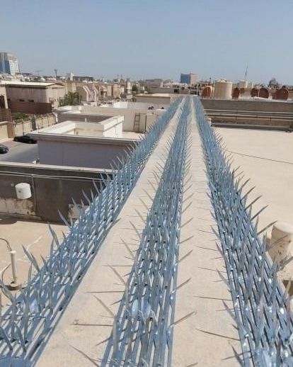 شبك مانع الحمام