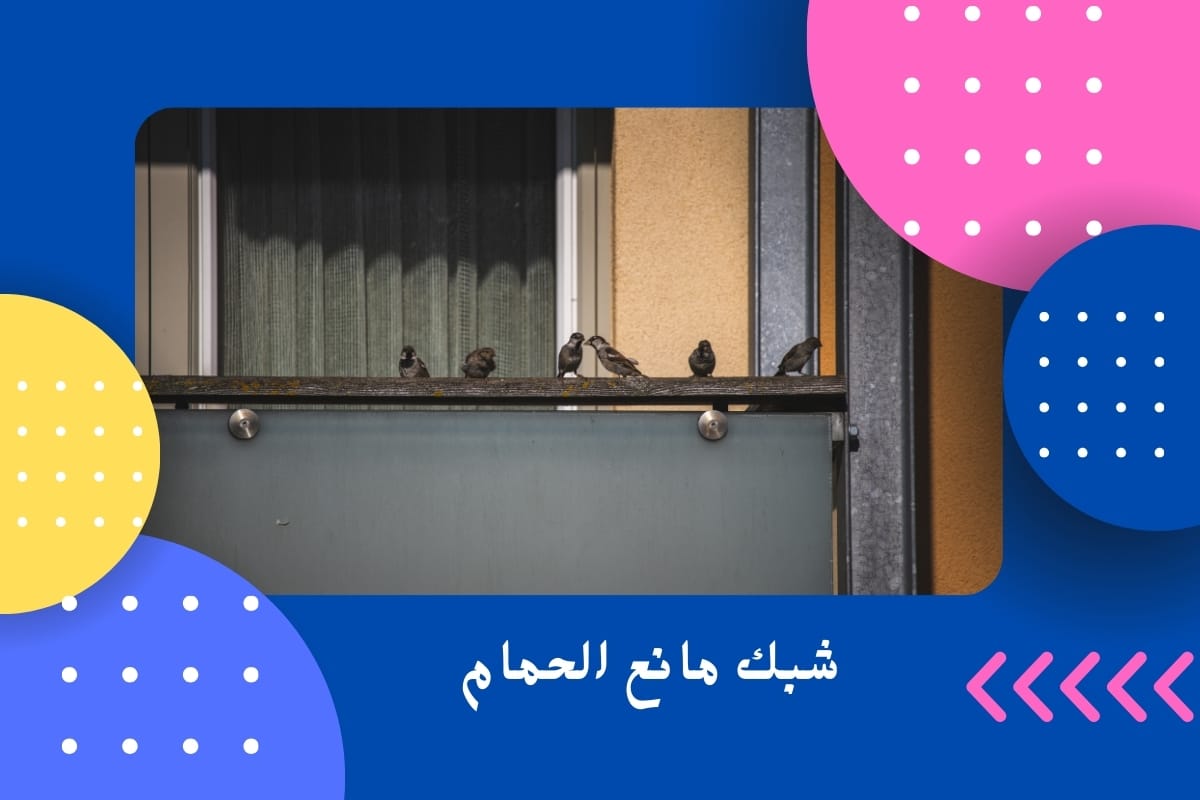 شبك مانع الحمام