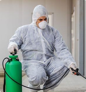 شركة بخ صراصير