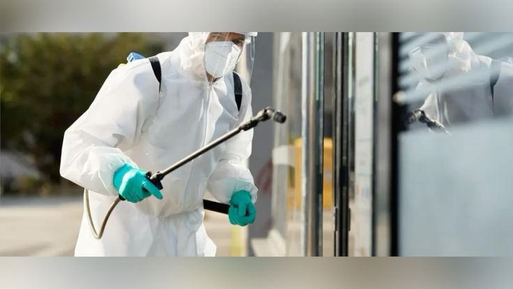 شركة تنظيف الصراصير