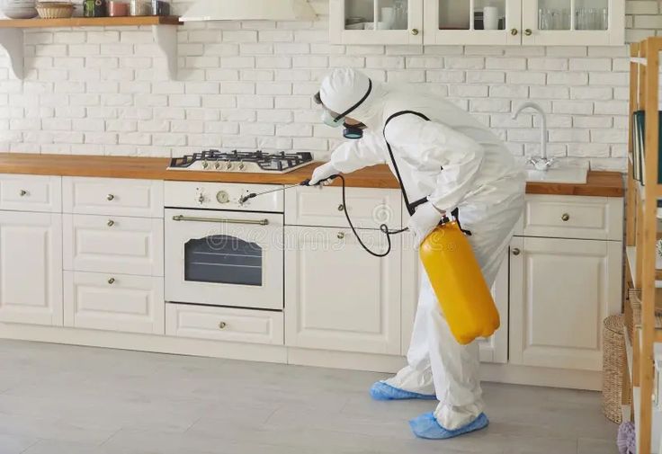 شركة حشرات عجمان