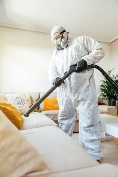 شركة رش للبق في ابوظبي