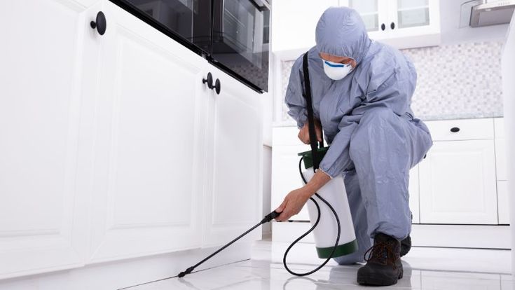 شركة مكافحة بق الفراش في دبي