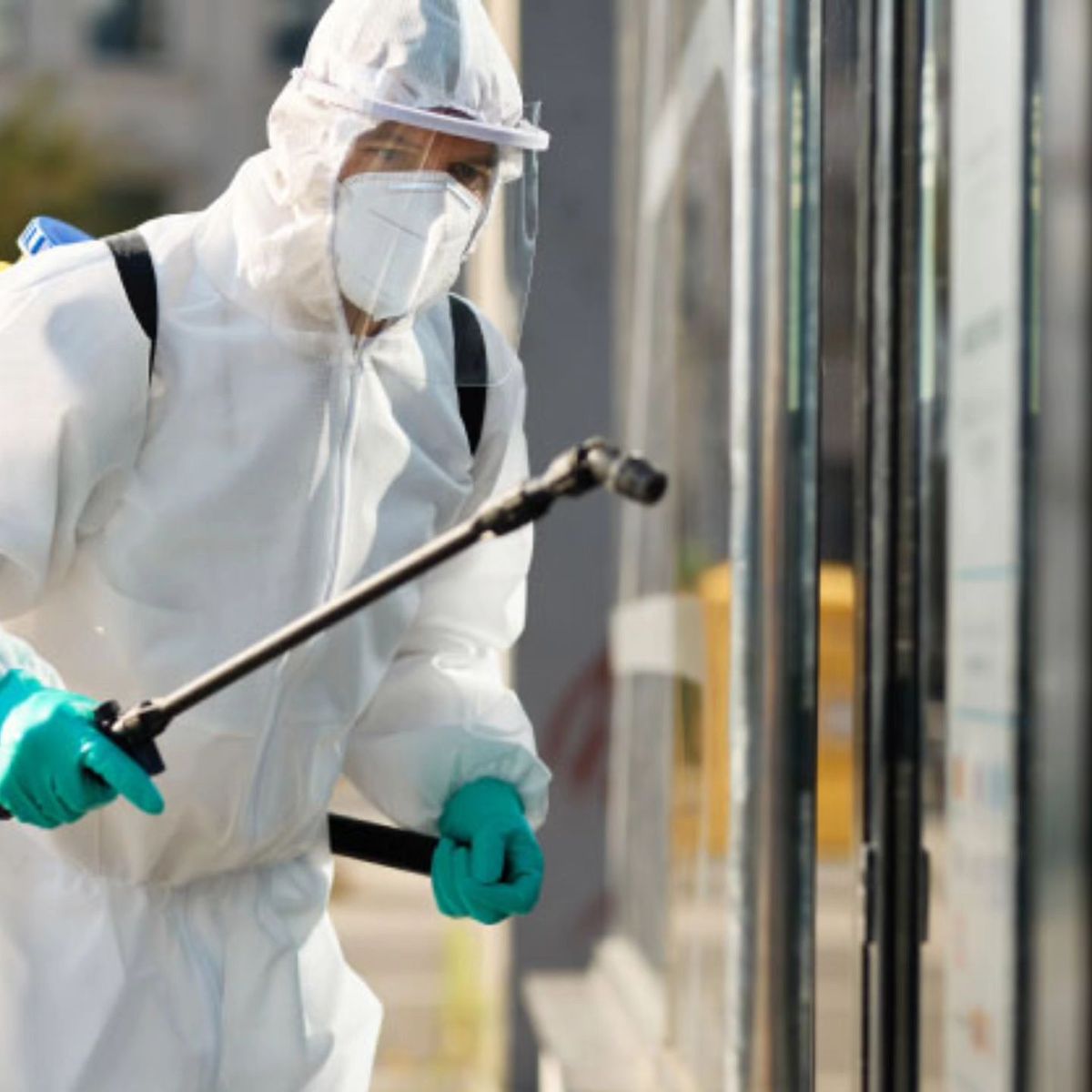 علاج رمة الخشب