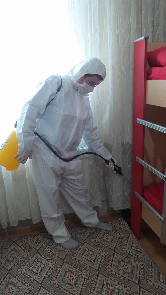 علاج رمة الخشب