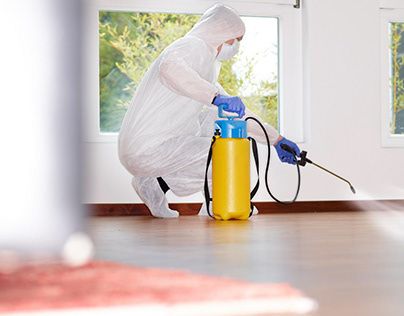 لمكافحة الصراصير