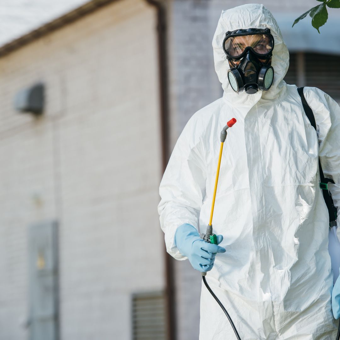 مكافحة الحشرات