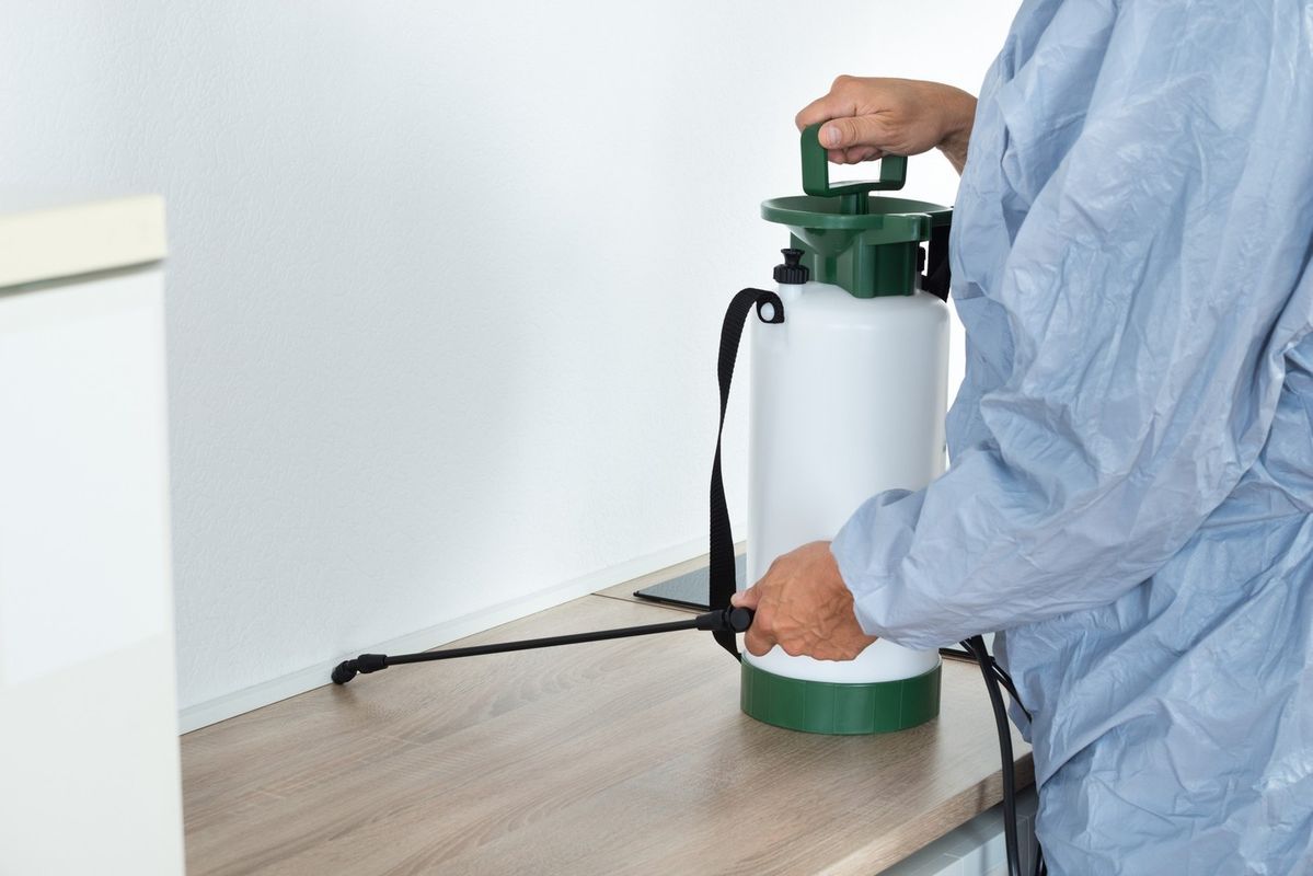 مكافحة الحشرات