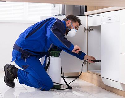 مكافحة بق الفراش