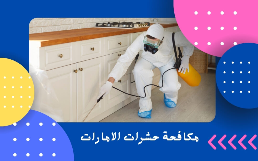مكافحة حشرات الامارات