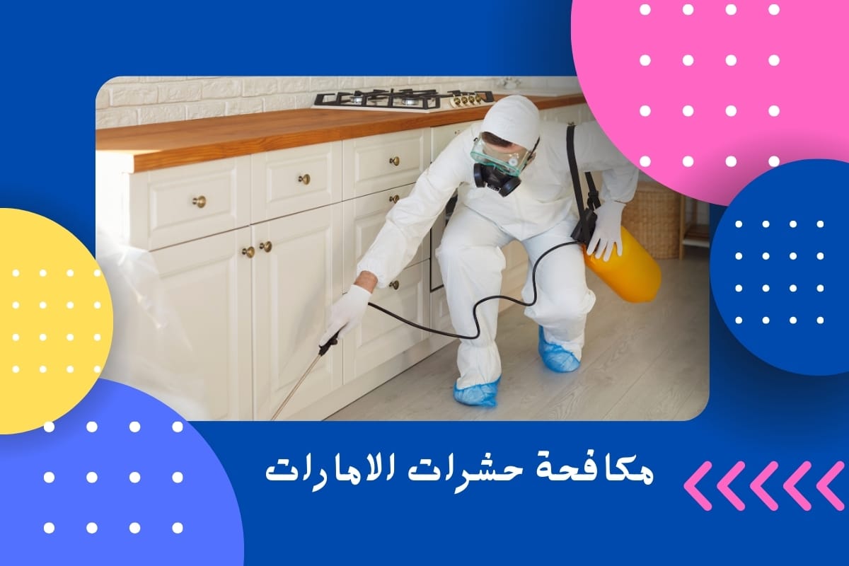 مكافحة حشرات الامارات