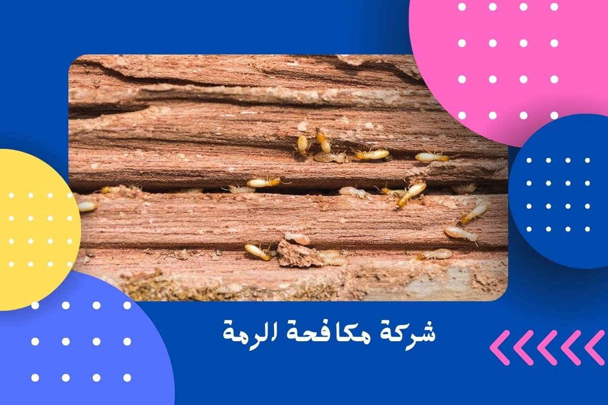 شركة مكافحة الرمة