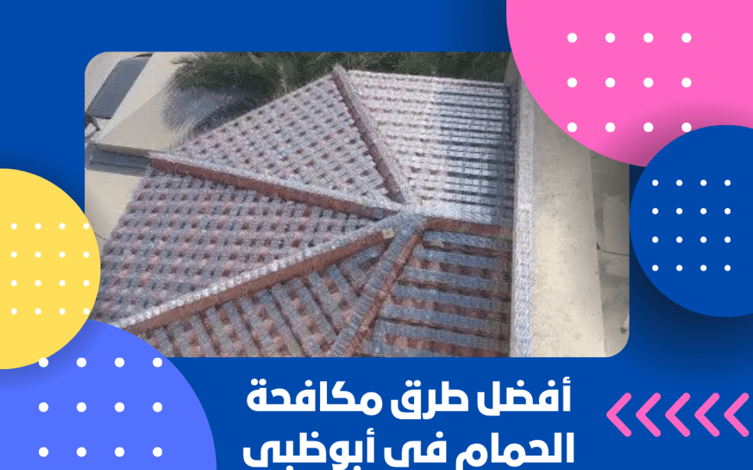 أفضل طرق مكافحة الحمام في أبوظبي