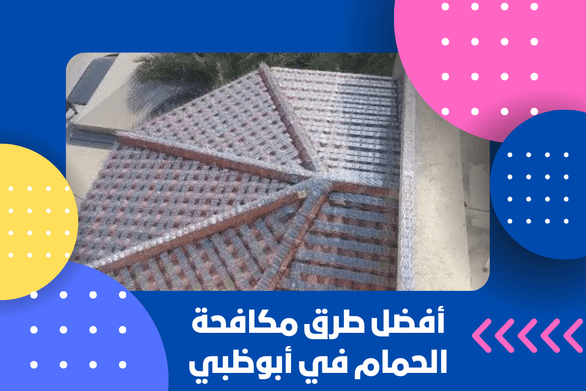 أفضل طرق مكافحة الحمام في أبوظبي