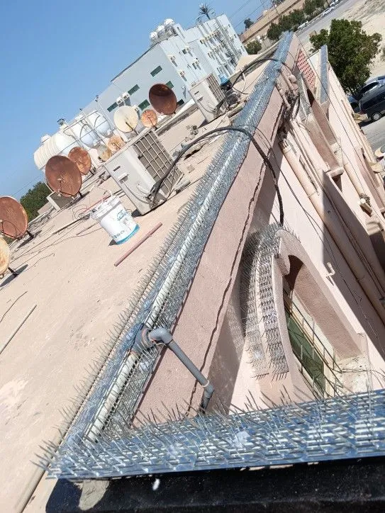 شركة تركيب طارد الحمام بأبوظبي