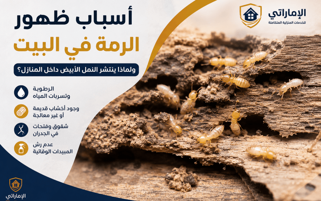 أسباب ظهور الرمة في البيت