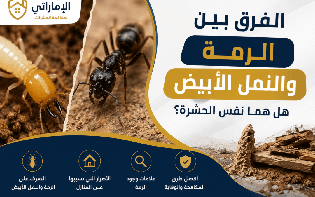 الفرق بين الرمة والنمل الأبيض