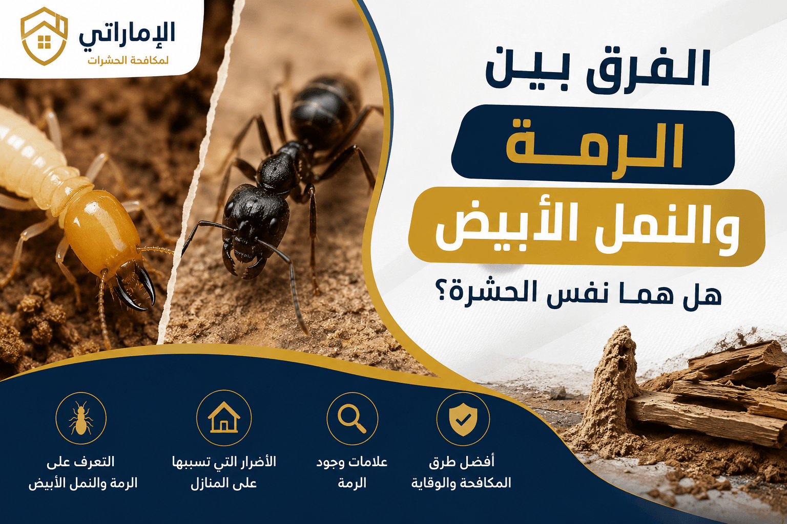 الفرق بين الرمة والنمل الأبيض